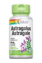 Load image into Gallery viewer, Astragalus Root 400mg
