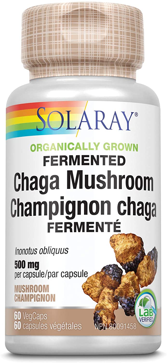 Organically Grown Fermented Chaga Mushroom 500mg